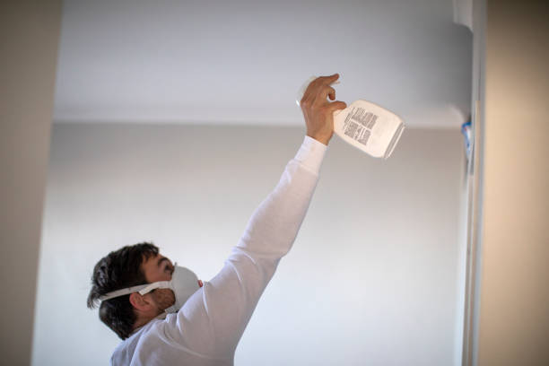 Best Preventive Mold Services in Holly Lake Ranch, TX